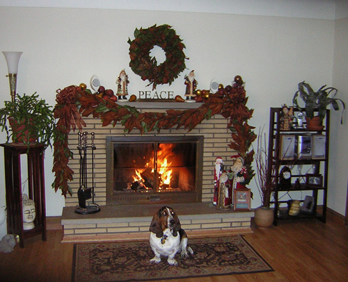 Beulah Mae with her gorgeous self posing in front of the fire.